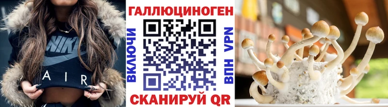 цена наркотик Коломна МЕГА tor Псилоцибиновые грибы Magic Shrooms